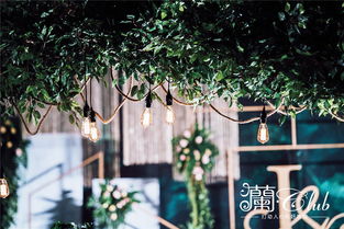 北京蘭club婚禮策劃 深夏森林